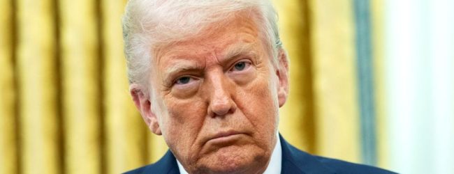 Qu’est-ce que la DEI et pourquoi fait-elle peur au gouvernement Trump ?